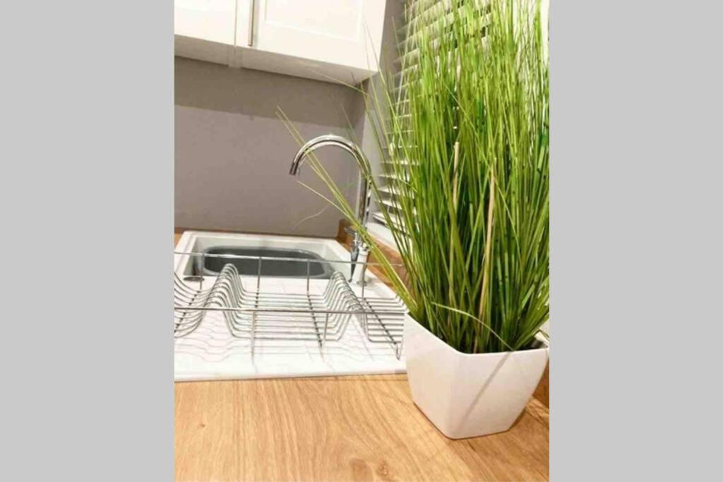 The Terrace Chester, Modern 3 Bed House Buitenkant foto